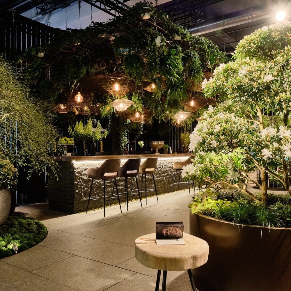 dscf0546-low.jpg__1500x1000.0_q85_HIGH_RESOLUTION_crop-smart_subsampling-2_upscale@2x